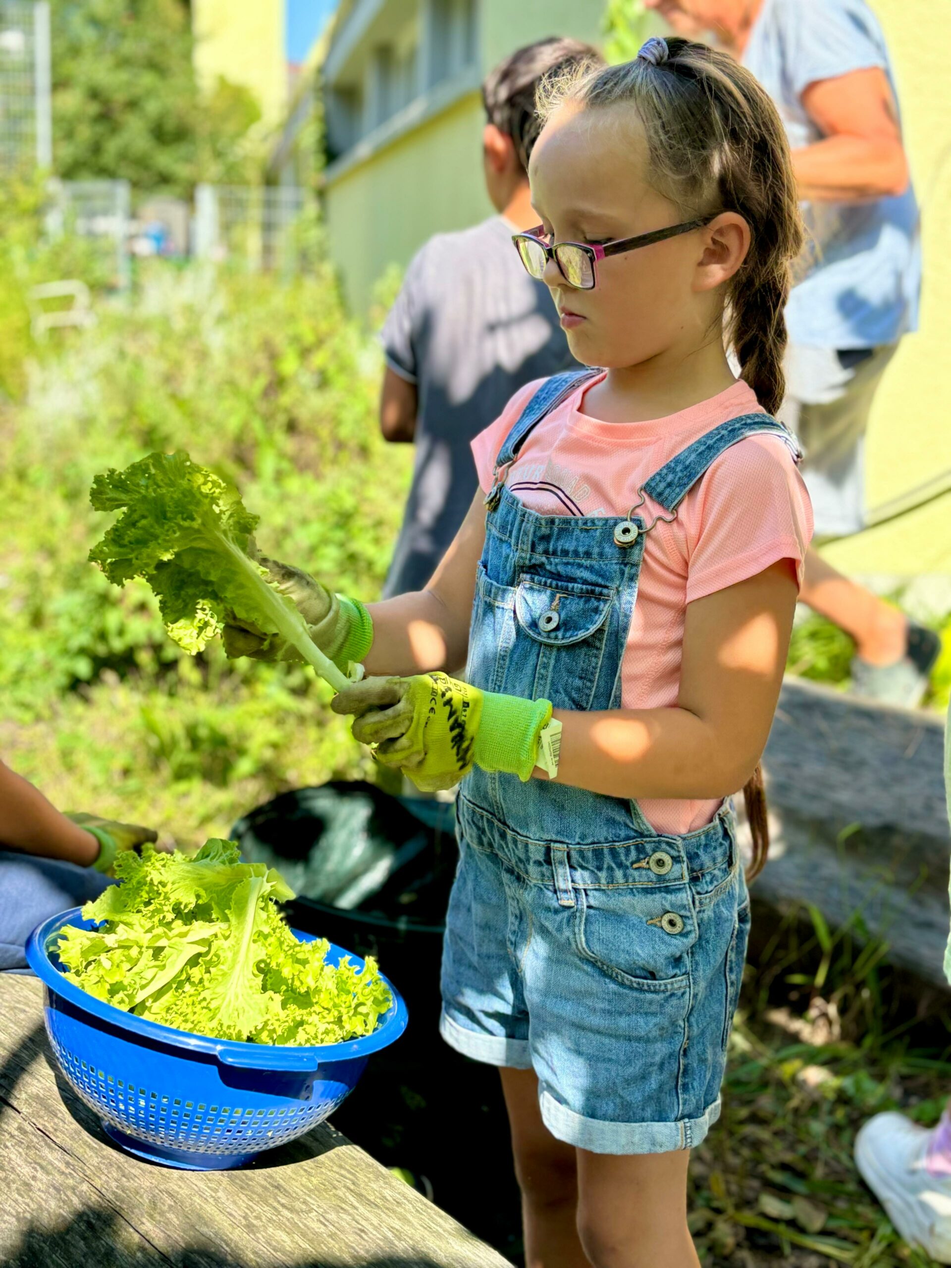 Grüne Erntezeit